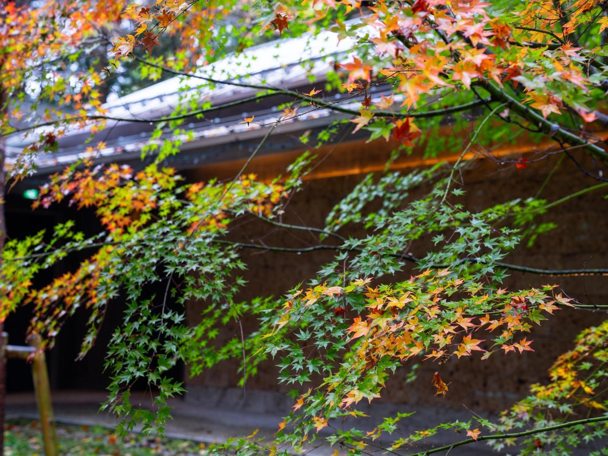 Hotel Nikko Nishimachi Club Exteriér fotografie